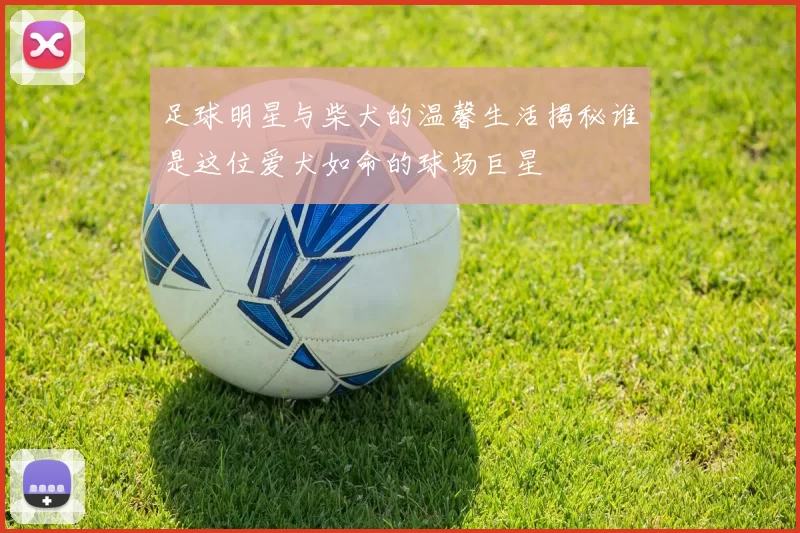 足球明星与柴犬的温馨生活揭秘谁是这位爱犬如命的球场巨星