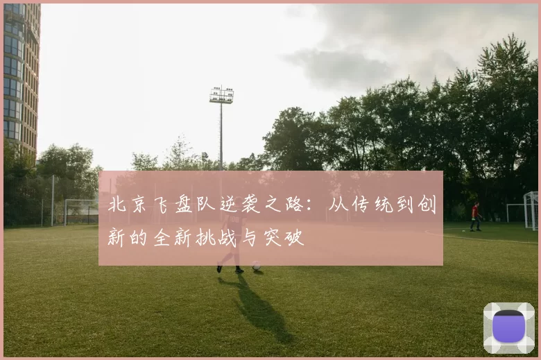 北京飞盘队逆袭之路：从传统到创新的全新挑战与突破