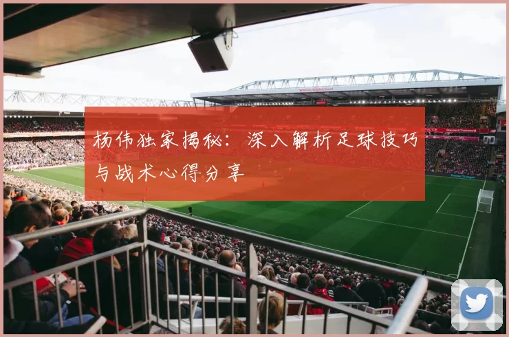 杨伟独家揭秘：深入解析足球技巧与战术心得分享