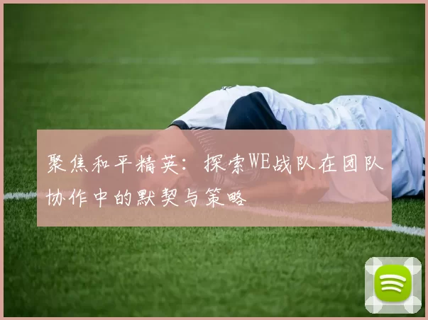 聚焦和平精英：探索WE战队在团队协作中的默契与策略