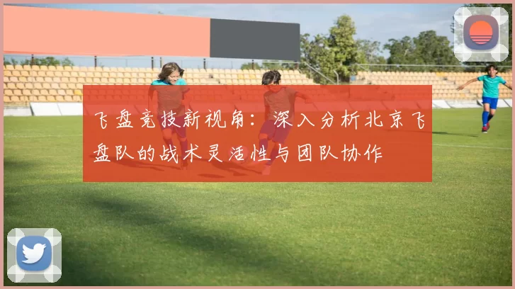 飞盘竞技新视角：深入分析北京飞盘队的战术灵活性与团队协作