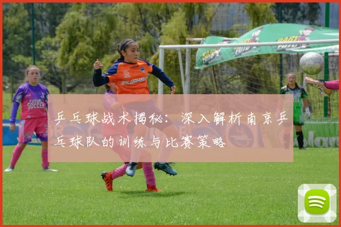 乒乓球战术揭秘：深入解析南京乒乓球队的训练与比赛策略
