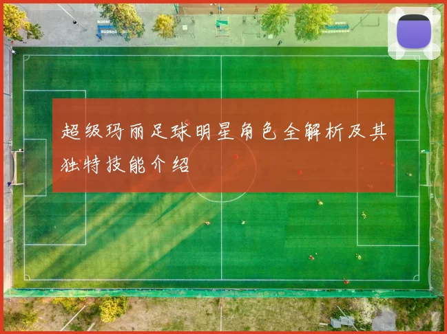 超级玛丽足球明星角色全解析及其独特技能介绍