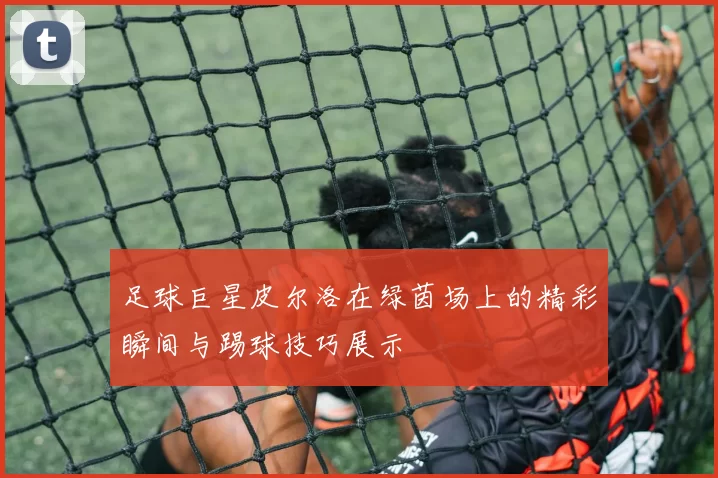 足球巨星皮尔洛在绿茵场上的精彩瞬间与踢球技巧展示