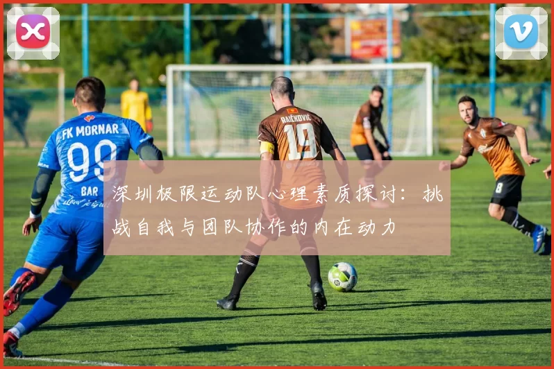 深圳极限运动队心理素质探讨：挑战自我与团队协作的内在动力