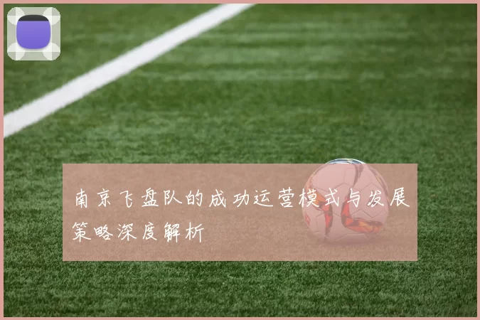 南京飞盘队的成功运营模式与发展策略深度解析
