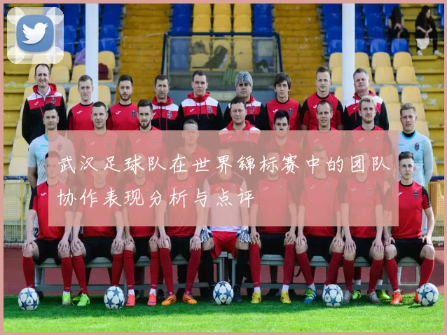 武汉足球队在世界锦标赛中的团队协作表现分析与点评
