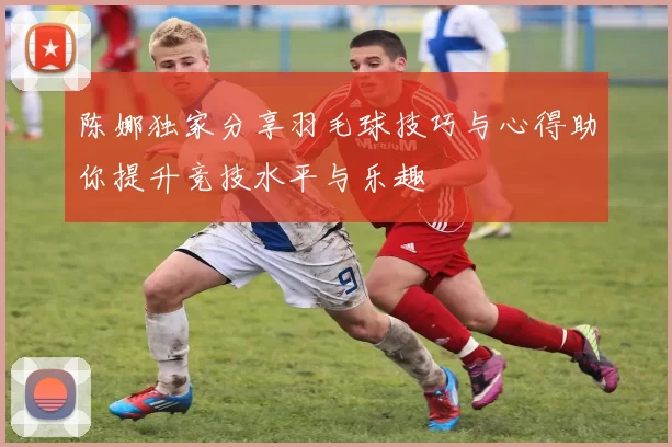 陈娜独家分享羽毛球技巧与心得助你提升竞技水平与乐趣