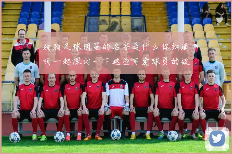 狗狗足球明星的名字是什么你知道吗一起探讨一下这些可爱球员的故事