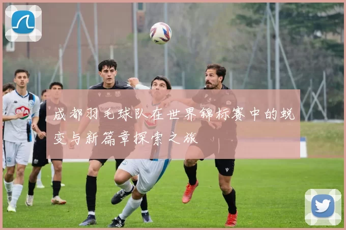 成都羽毛球队在世界锦标赛中的蜕变与新篇章探索之旅