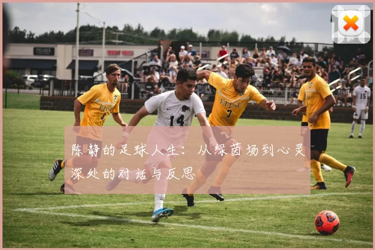 陈静的足球人生：从绿茵场到心灵深处的对话与反思