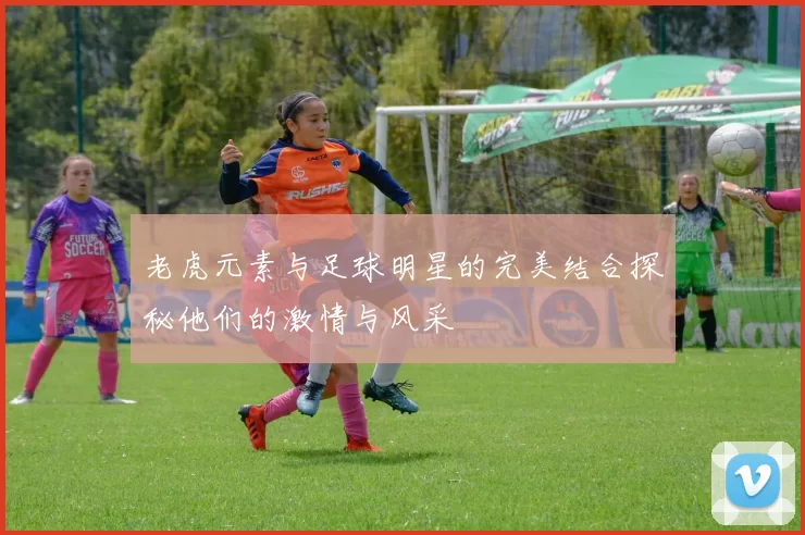 老虎元素与足球明星的完美结合探秘他们的激情与风采