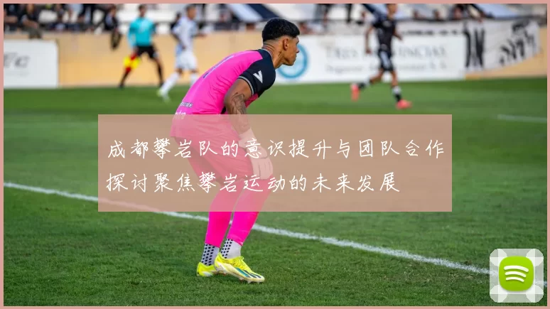 成都攀岩队的意识提升与团队合作探讨聚焦攀岩运动的未来发展