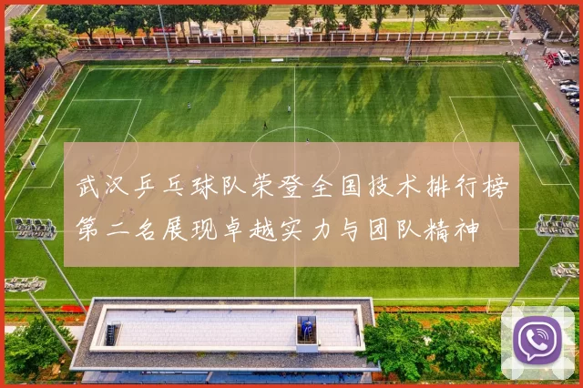 武汉乒乓球队荣登全国技术排行榜第二名展现卓越实力与团队精神