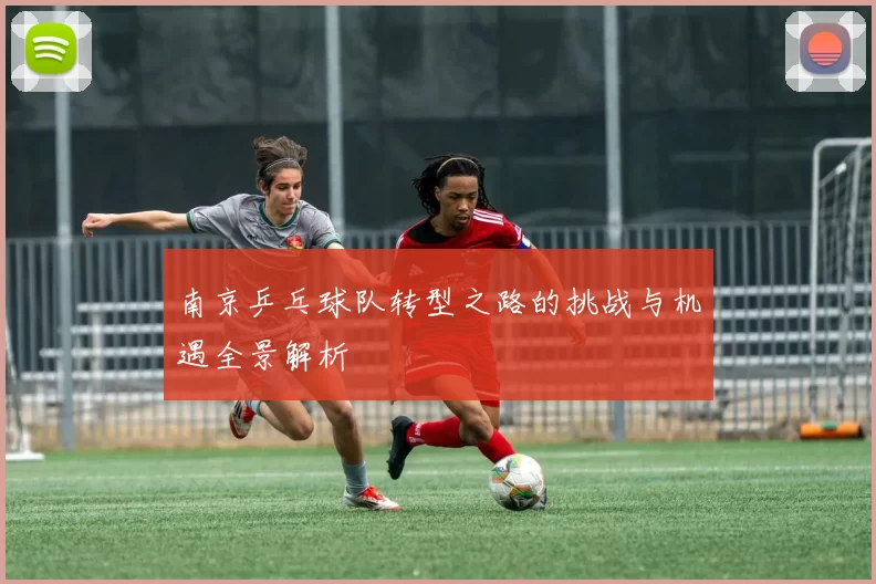 南京乒乓球队转型之路的挑战与机遇全景解析