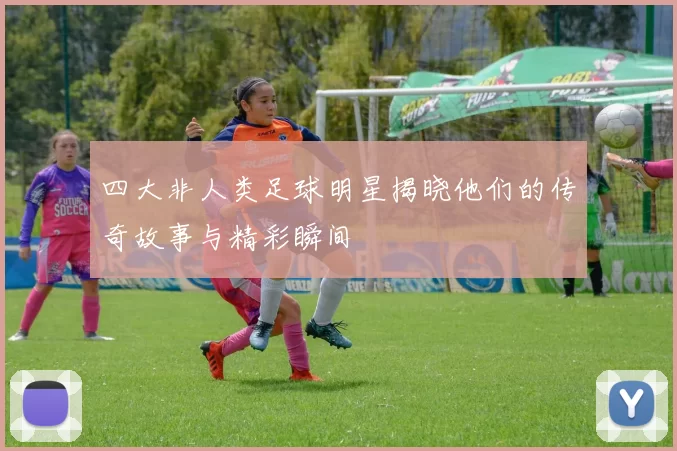 四大非人类足球明星揭晓他们的传奇故事与精彩瞬间