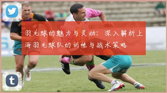 羽毛球的魅力与灵动：深入解析上海羽毛球队的训练与战术策略