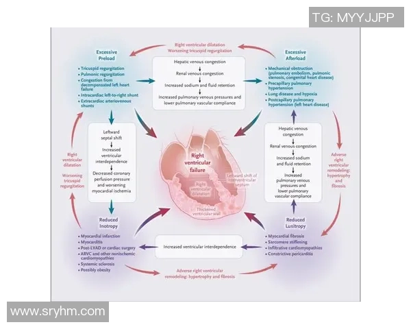 基于球队策略分析的全面探讨与实践应用：提升团队协作与竞技水平的关键要素
