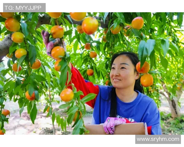 果园采摘乐趣体验之旅 感受自然丰收的喜悦与美好时光 果园采摘乐趣体验之旅 感受自然丰收的喜悦与美好时光