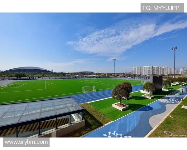 运动场为核心打造多功能综合体育园区助力全民健身与城市活力提升