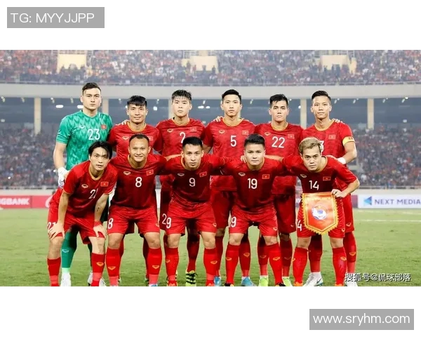 杭州排球队逆袭世界杯的荣耀之路与奋斗精神的完美结合